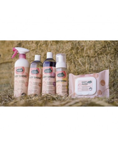 Easy Shine Wipe Lingettes nettoyantes RAVENE  RAVENE Accueil