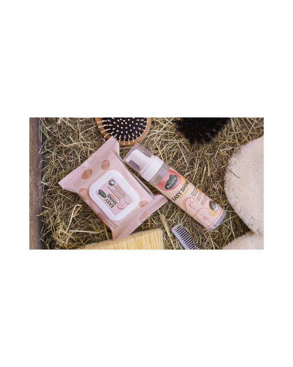 Easy Shine Wipe Lingettes nettoyantes RAVENE  RAVENE Accueil