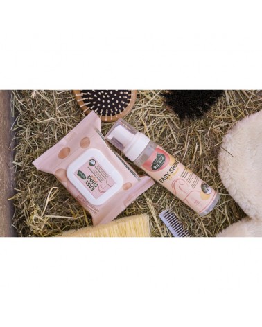 Easy Shine Wipe Lingettes nettoyantes RAVENE  RAVENE Accueil