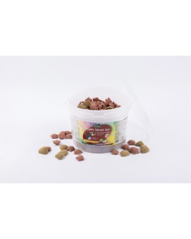 Happy treats duo RAVENE  RAVENE Accueil