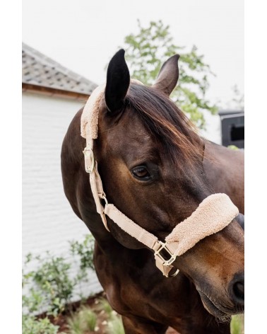 Licol teddy fleece Beige - Kentucky  Kentucky Accueil