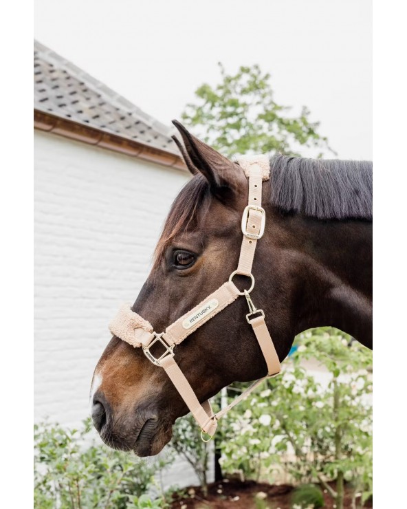 Licol teddy fleece Beige - Kentucky  Kentucky Accueil