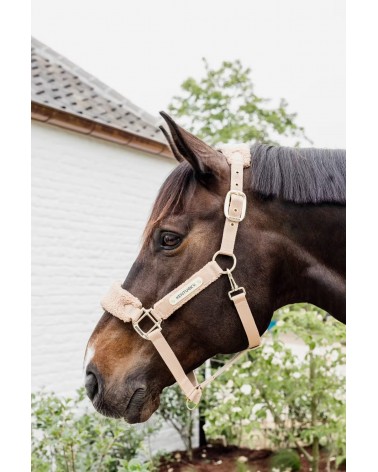 Licol teddy fleece Beige - Kentucky  Kentucky Accueil