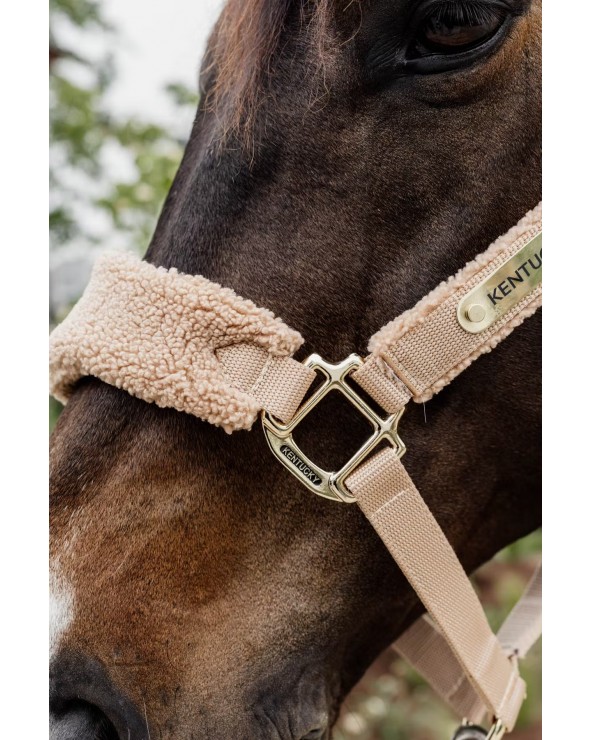 Licol teddy fleece Beige - Kentucky  Kentucky Accueil