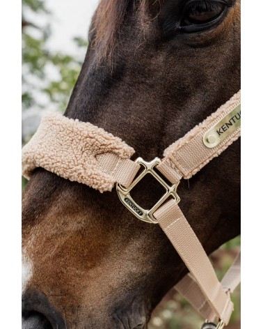 Licol teddy fleece Beige - Kentucky  Kentucky Accueil