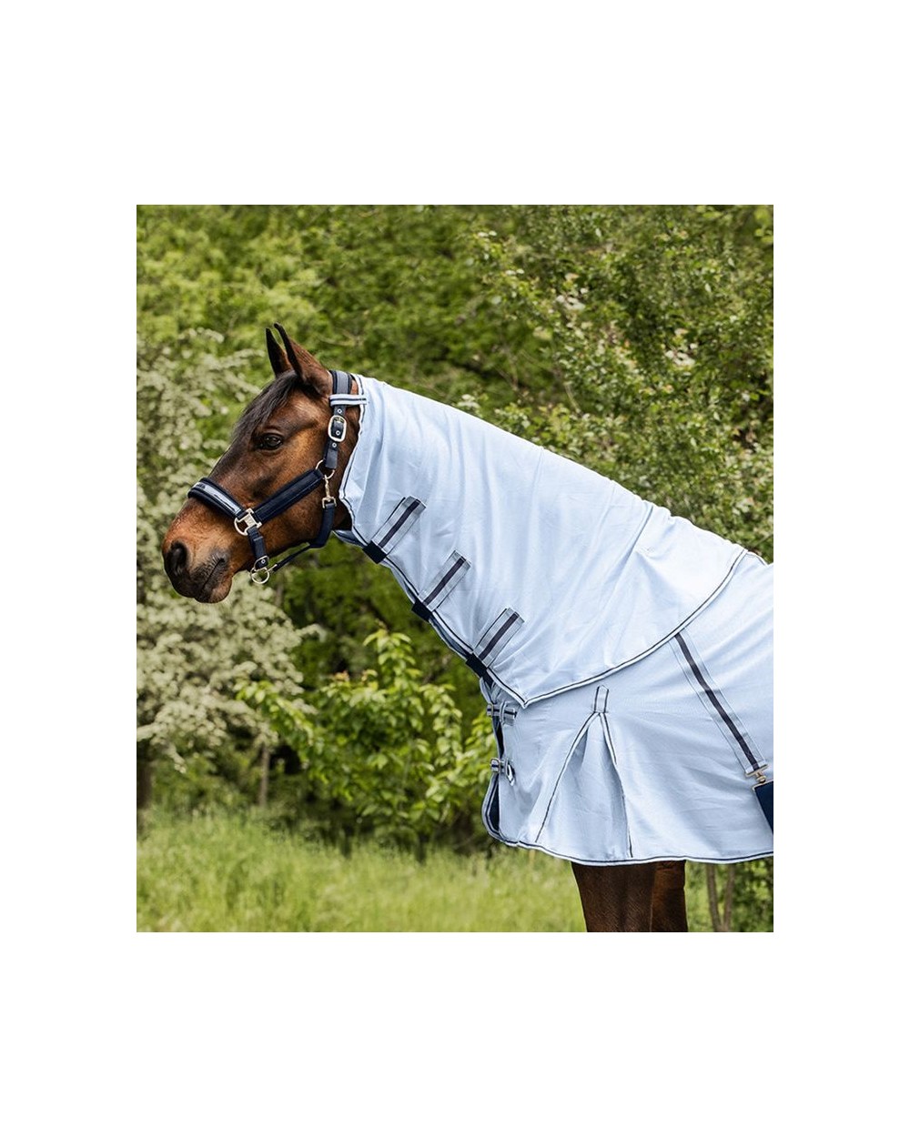 Couvre-cou anti-mouche PROTECT Bleu  Waldhausen Accueil