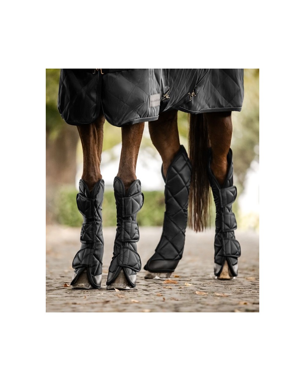 Guêtres de transport EXCLUSIVE Noir  Waldhausen Accueil