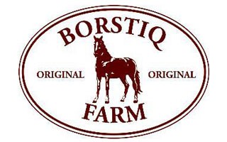 Borstiq